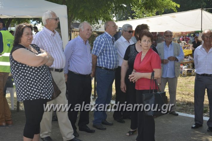 alexandriamou.gr_trikala28.5.2018304